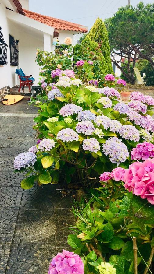 Bed and Breakfast Elemental Ericeira Exterior foto